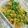 Hadia Hassan 😍's cooksnap of when they made Mix Sabzi (Vegetables).