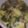 babyD530's cooksnap of when they made Olive Garden Zuppa Toscana soup remix..