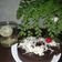 Cooksnap dari ati dewanthi untuk resep Brownis kukus chocolatos