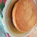 El cooksnap de wendy cuando hizo Pastel imposible.