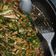 Cooksnap dari shallomjoana untuk resep Oseng teri lombok ijo