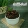 Cooksnap dari Mastika Susiana untuk resep Bubble drink