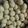 Anuja Maewal's cooksnap of when they made Til Khoye ke Laddoo.