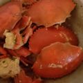 Cooksnap dari Tiffianti Diannissa untuk resep Kepiting Saus Telor Asin