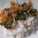Cooksnap dari hadyaningrum nur hafni untuk resep Urap / Gudangan ala solo