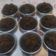 Cooksnap dari iis setiawati untuk resep Bolu kukus coklat, moist, lembut (tanpa telur, tanpa mixer)