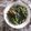 Cooksnap dari Mrs Chia untuk resep Tumis bayam terasi