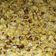 Cooksnap dari Mislina Imes untuk resep Homemade Popcorn Caramel