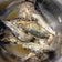 El cooksnap de javier oliva cuando hizo Sardinas en olla gm h 🐟.