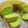 Cooksnap dari jes untuk resep Bolu Pandan 5 Telur kecil (4 butir telur besar)