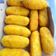 Cooksnap dari didapoerbundaAim untuk resep Kroket Kentang isi Sayuran + Tips