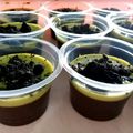 Cooksnap dari Dapur khadijah untuk resep Puding coklat cantik fla matcha oreo ❤️