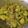 Sneha Banerjee's cooksnap of when they made কুমড়োর ছক্কা (kumror chokka recipe in bengali).