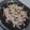 Cooksnap dari nira untuk resep Pizza Hitam (Black Pizza)