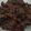 Cooksnap Ain Rahim semasa beliau membuat Daging Kerbau Masak Hitam #MAHN.