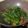 Cooksnap dari eva nurvarina untuk resep Tumis Kangkung Saus Tiram ala Resto