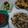 Cooksnap dari Aan Darwati untuk resep Nasi TO (Tutug Oncom) Khas Tasik