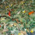 Cooksnap dari Ari Vidya Ningrum untuk resep Tumis Pare Teri Medan (anti pahit)