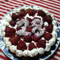 El cooksnap de Ana Orayen cuando hizo Torta brownie.