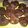 Cooksnap dari Shabrina Maryam untuk resep BROWNIES KUKUS SALAK