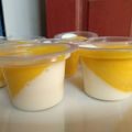 Cooksnap dari Ria Adriani untuk resep Puding Lapis Mangga Susu