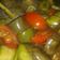 Cooksnap dari Helga untuk resep Sayur Asem Terong Tahu