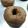 El cooksnap de Federico Manuel Catalan cuando hizo Rosquillas Keto!.
