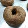 El cooksnap de Federico Manuel Catalan cuando hizo Rosquillas Keto!.
