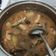 Cooksnap dari Rini Arinda untuk resep Sayur Asem