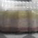 Cooksnap dari Nurul Endang Sulastri Yustriarini untuk resep Puding alpukat 3 lapis (full susu)
