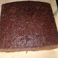 Cooksnap dari Lutfi untuk resep Bolu cokelat panggang