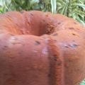 Cooksnap dari Julise Gultom untuk resep Bolu Kismis Jadul