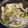 El cooksnap de Lorena Inostroza cuando hizo Ensalada de zapallito italiano.