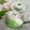 Cooksnap dari Wiwin088 untuk resep Lumpur Syurga