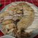 Roddy Shaw 的 泰式海南雞飯 cooksnap