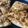 Hina Ibrahim's cooksnap of when they made Pizza 🍕 Sendwich.