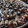 Cooksnap Farah Farhana semasa beliau membuat Almond London.