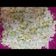 صورة من طـبخآت يآسـمـين🌹🌷، شاركها بعد تجربة وصفة سلطة الملفوف- Cabbage salad