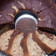 Cooksnap dari lina untuk resep Banana Cake Ala Farah Quinn (2 telur, moist tanpa mixer)