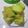 Cooksnap dari Windy Fransisca untuk resep Chiffon Cake Pandan