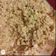 Cooksnap Dagmara Baran/Coś smacznego i niedrogiego z czasów, kiedy przygotował Pasta do kanapek z tuńczykiem.