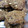 El cooksnap de Leticia Torres cuando hizo Galletas de avena.