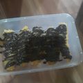 Cooksnap dari Andra Roseliya Putri untuk resep Pisang Goreng Pasir, Crispy!