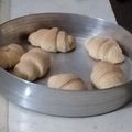 صورة من ورد وشوك، شاركها بعد تجربة وصفة كروسون حاد وحلو