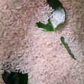 Cooksnap dari Roro Woelan untuk resep #Tips menyimpan beras di rumah agar awet g apek/berkutu