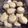 El cooksnap de Macagomez cuando hizo Alfajores de Maizena.