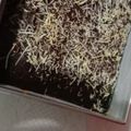 Cooksnap dari Hana Ly 🌻 kitchen untuk resep Brownis Panggang