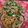 Cooksnap dari Rosalin Mayapada untuk resep Bulgogi (Korean Beef BBQ)