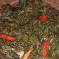 Cooksnap dari NabilaNasuha untuk resep Daun singkong tumbuk pedas