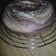 El cooksnap de Susana Alicia Pelourson cuando hizo Torta marmolada.